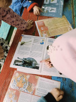 Красная книга Красная книга.